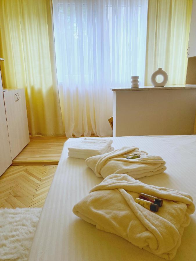Timisoara Central Apartament Apartment Luaran gambar