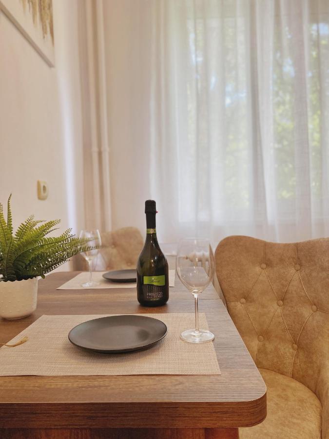 Timisoara Central Apartament Apartment Luaran gambar