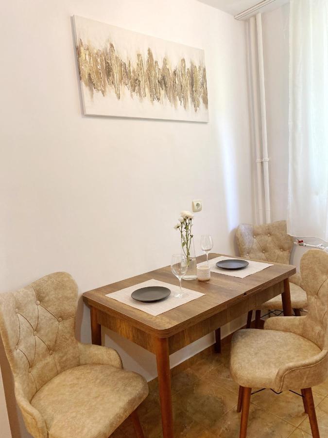 Timisoara Central Apartament Apartment Luaran gambar