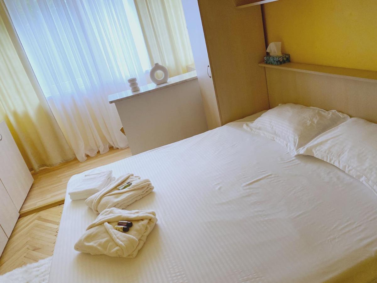 Timisoara Central Apartament Apartment Luaran gambar